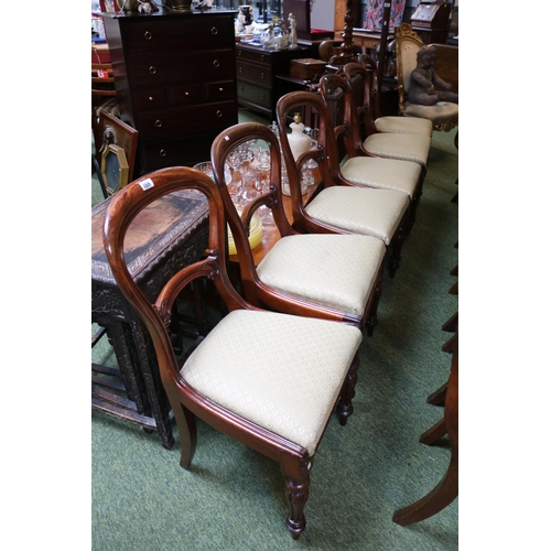 468 - Set of 6 Mahogany balloon back dining chairs with upholstered drop in seats