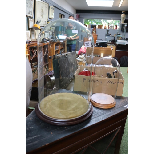 225 - Large Antique Glass dome on wooden base and a later glass dome on wooden base