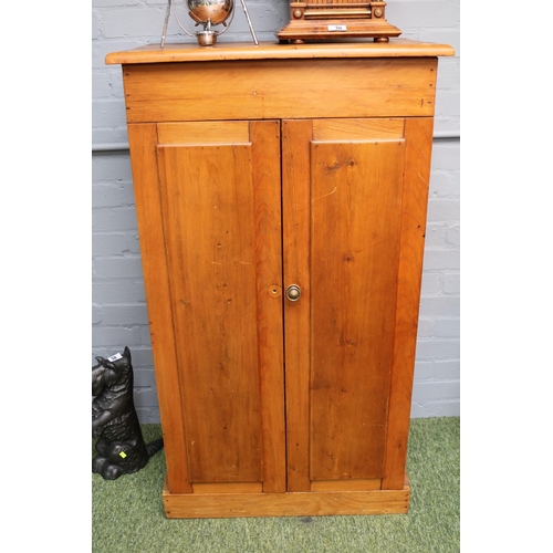 490 - Edwardian panelled 2 door cupboard