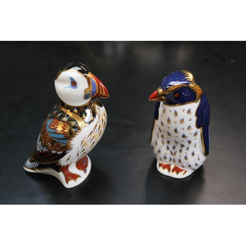 131 - 2 Royal Crown Derby Paperweights to include Puffin with Silver Stopper boxed & Rockhopper Penguin MM... 