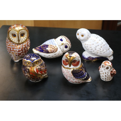 137 - 6 Royal Crown Derby Owl Paperweights to include Snowy Owl Collectors Guild MMIV with Gold Stopper bo... 