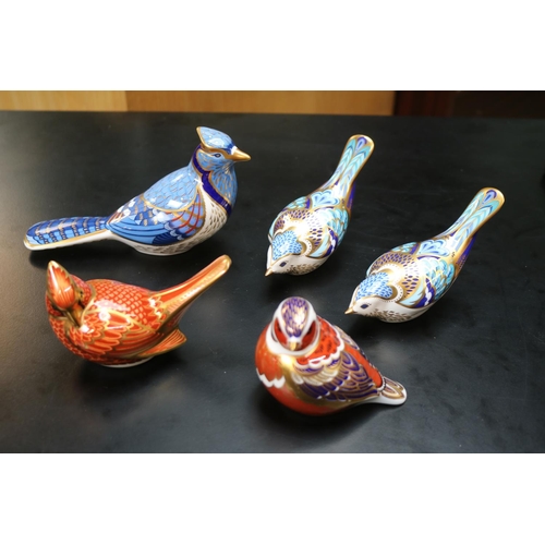 141 - 5 Royal Crown Derby Paperweights to include Bluebird, 2 x Mountain Bluebird MMVI, Goldfinch and a Am... 