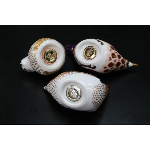 143 - 8 Royal Crown Derby Paperweights to include Wrens, Gold Crest and others Gold and Silver stoppers