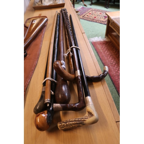 207 - Collection of assorted Walking Sticks to include Silver finials, Fighting Stick, Antler Handled etc