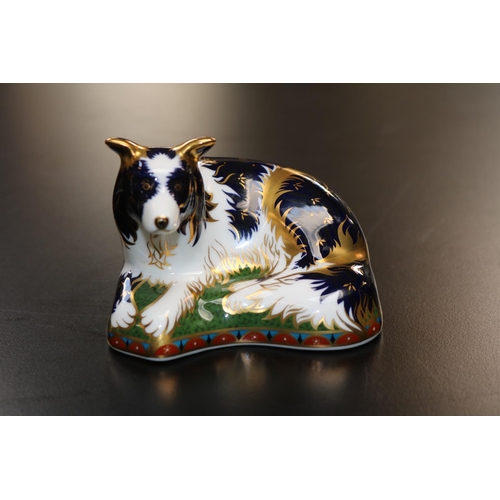 69 - Royal Crown Derby Paperweight Border Collie Limited edition of 233 of 2500 MMIV signed to base with ... 