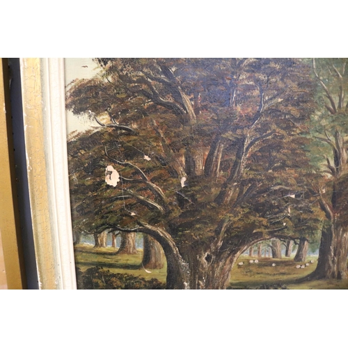 120 - 19thC Oil on canvas depicting a Woodland scene signed E Lloyd to bottom right