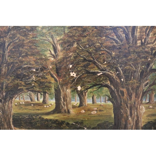 120 - 19thC Oil on canvas depicting a Woodland scene signed E Lloyd to bottom right