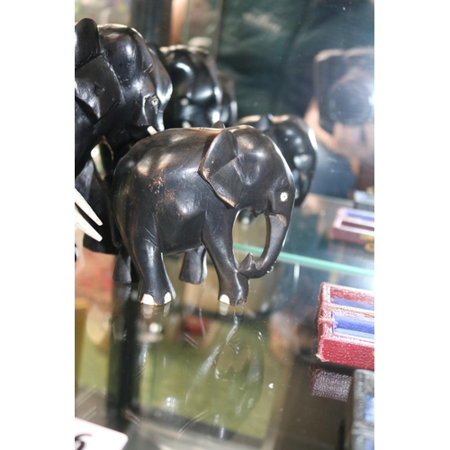 16 - Collection of 5 African Ebony Elephants