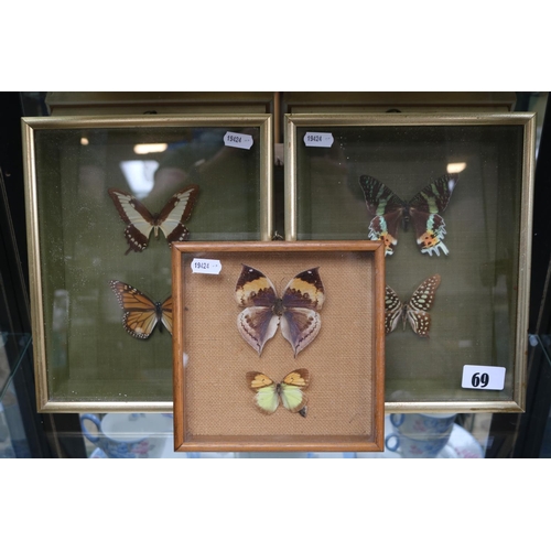 69 - 3 Framed Sets of Butterflies to include America, Madagascar, India etc