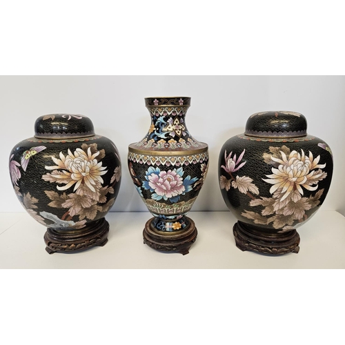 49 - Pair of Chinese Black Cloisonné Spherical lidded jars decorated with Butterfly and Chrysanthemum on ... 