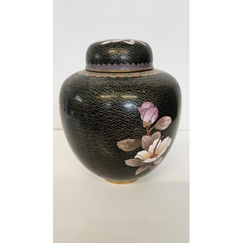 49 - Pair of Chinese Black Cloisonné Spherical lidded jars decorated with Butterfly and Chrysanthemum on ... 