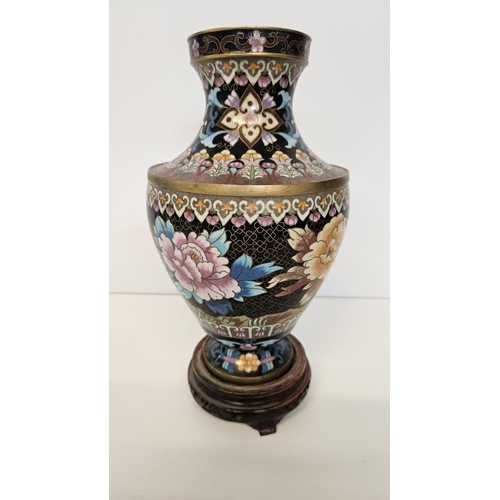 49 - Pair of Chinese Black Cloisonné Spherical lidded jars decorated with Butterfly and Chrysanthemum on ... 