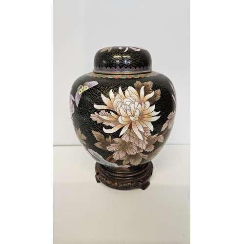 49 - Pair of Chinese Black Cloisonné Spherical lidded jars decorated with Butterfly and Chrysanthemum on ... 