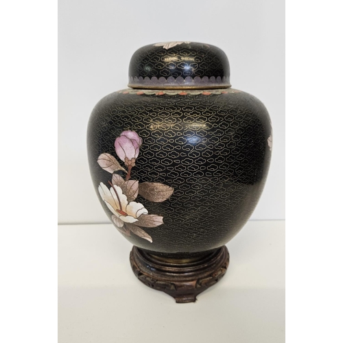 49 - Pair of Chinese Black Cloisonné Spherical lidded jars decorated with Butterfly and Chrysanthemum on ... 