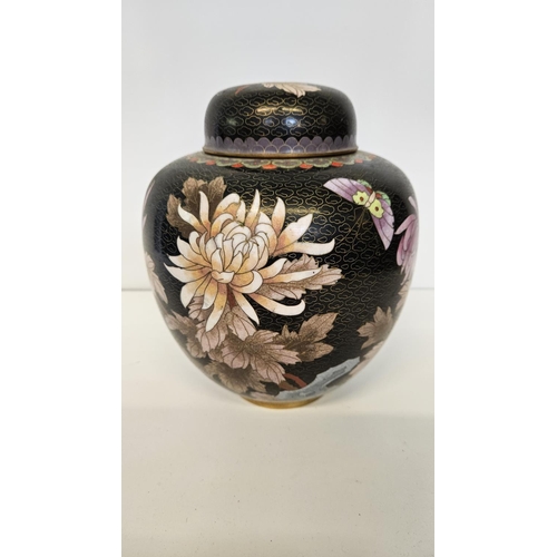 49 - Pair of Chinese Black Cloisonné Spherical lidded jars decorated with Butterfly and Chrysanthemum on ... 