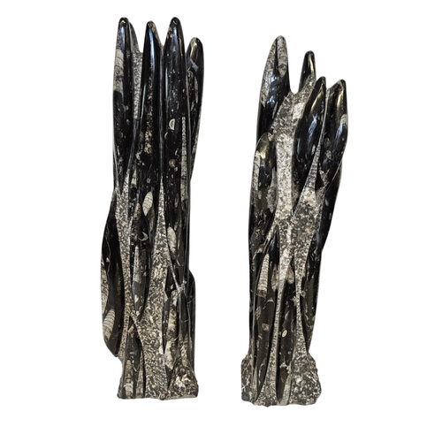 55 - Pair of Orthoceras Tower Nautiloid Fossils from the late Devonian period. H 53cm.