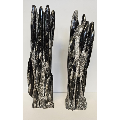 55 - Pair of Orthoceras Tower Nautiloid Fossils from the late Devonian period. H 53cm.