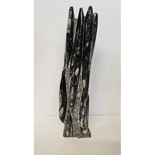 55 - Pair of Orthoceras Tower Nautiloid Fossils from the late Devonian period. H 53cm.