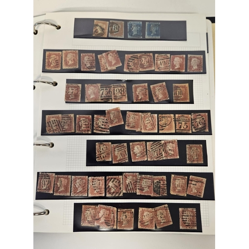 105 - Extensive Stamp collection ranging from Victoria, Edward VII, George V, George VI through to Queen E... 