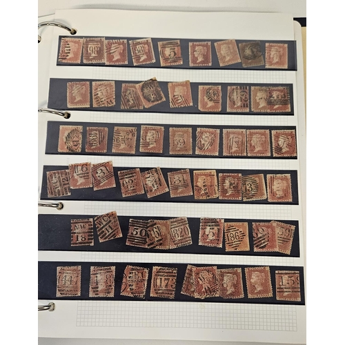 105 - Extensive Stamp collection ranging from Victoria, Edward VII, George V, George VI through to Queen E... 