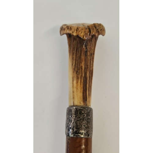 78 - 19thC Antler topped walking Cane with carved bearded face over Silver Collar and tapering fruitwood ... 