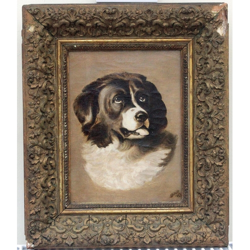 272 - Follower of Sir Edwin Landseer Signed Oil on Canvas Study of a Newfoundland Dog in Gilt Frame 1880. ... 