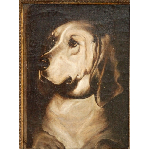 273 - Follower of Sir Edwin Landseer Signed Oil on Canvas Study of a Hound in Gilt Frame 1880. Oil on Canv... 