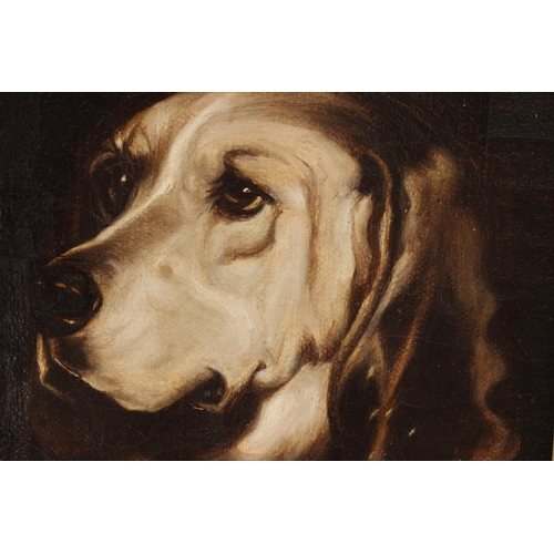 273 - Follower of Sir Edwin Landseer Signed Oil on Canvas Study of a Hound in Gilt Frame 1880. Oil on Canv... 