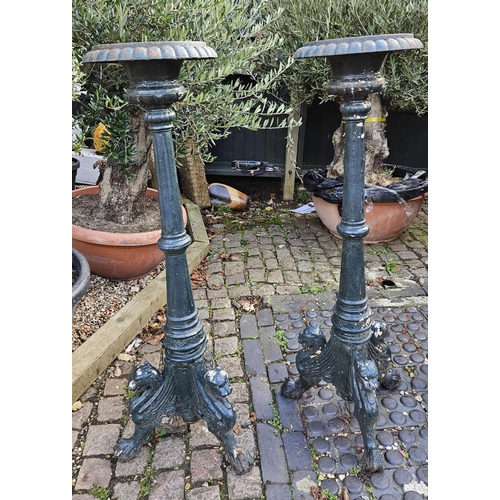 367 - Pair of Cast Iron Green Painted French Style tripod stands with Griffin scroll supports 121cm in Hei... 