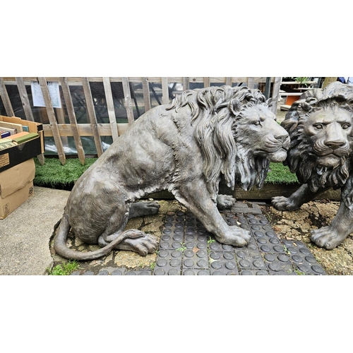 374 - Pair of Large Fine Cast Bronze Lions of Life Size 86cm in Height