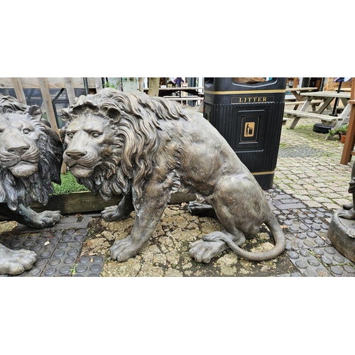 374 - Pair of Large Fine Cast Bronze Lions of Life Size 86cm in Height