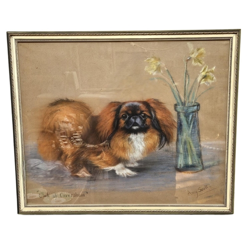 308 - Amy Scott (1862-1950); Pastel and Charcoal entitled 'Chik of Caversham' depicting a Pekingese. 60 x ... 