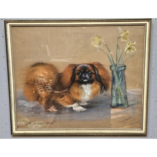 308 - Amy Scott (1862-1950); Pastel and Charcoal entitled 'Chik of Caversham' depicting a Pekingese. 60 x ... 