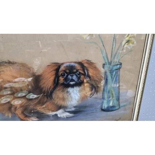 308 - Amy Scott (1862-1950); Pastel and Charcoal entitled 'Chik of Caversham' depicting a Pekingese. 60 x ... 