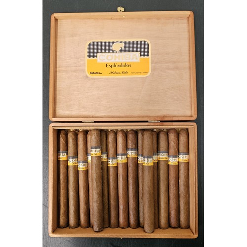 27 - Cohiba Esplendidos Habana Cuba (15) in wooden case with applied labels