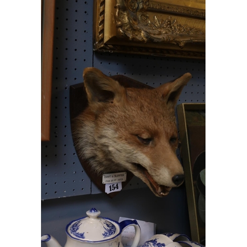 154 - Taxidermy: A Red Fox Mask (Vulpes vulpes) marked 'Boot & Slipper' dated 21st Feb 1953. An adult head... 