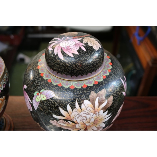 62 - Pair of Chinese Black Cloisonné Spherical lidded jars decorated with Butterfly and Chrysanthemum on ... 