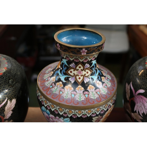 62 - Pair of Chinese Black Cloisonné Spherical lidded jars decorated with Butterfly and Chrysanthemum on ... 