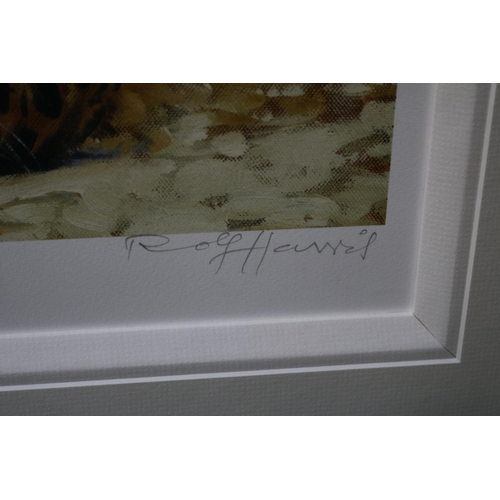 64 - Rolf Harris Lithograph of a Leopard signed in pencil 13 of 95