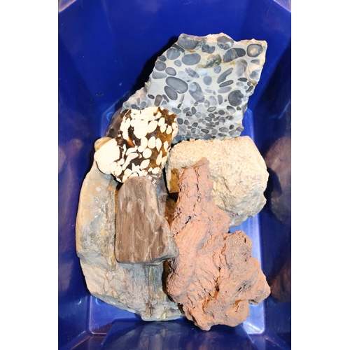 335 - Collection of Minerals and specimens to include Peanut Wood, Lava etc.