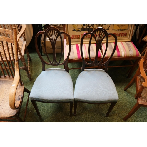 640J - Pair of Victorian Mahogany Shield backed Dining chair with upholstered seats over tapering legs