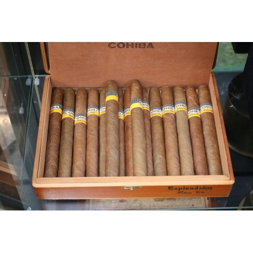 17 - Cohiba Esplendidos Habana Cuba (15) in wooden case with applied labels