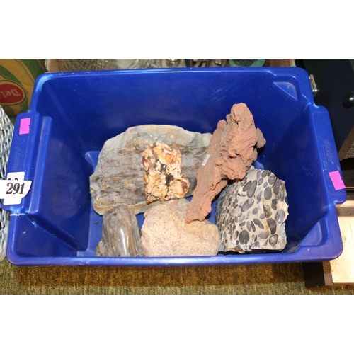 291 - Collection of Minerals and specimens to include Peanut Wood, Lava etc.