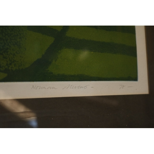 138 - Norman Stevens RA 'Priory Garden, 1978' etching, aquatint and burnished aquatint limited edition 12 ... 