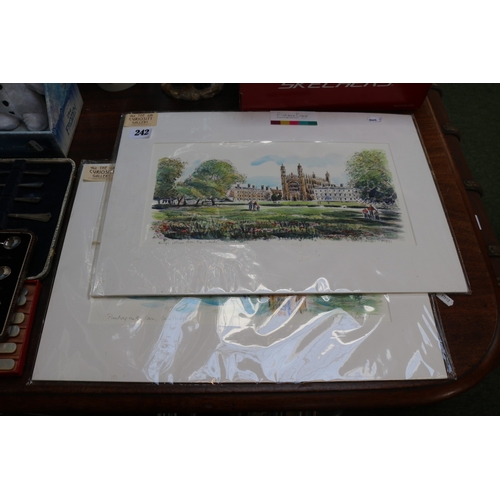 Lot 242       