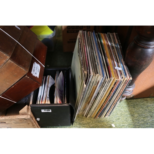 Lot 246       