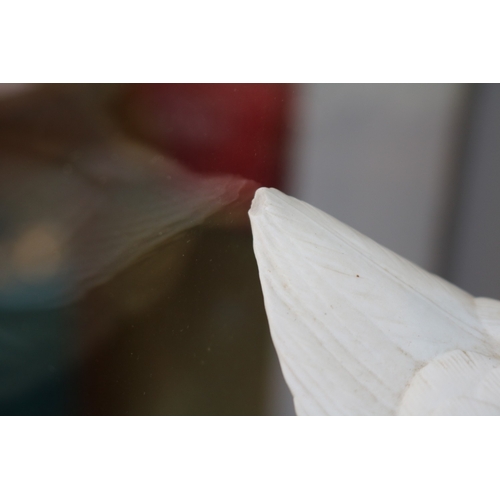 3 - Goebel Limited edition Mute Swan 183 of 1000 on wooden plinth signed to base