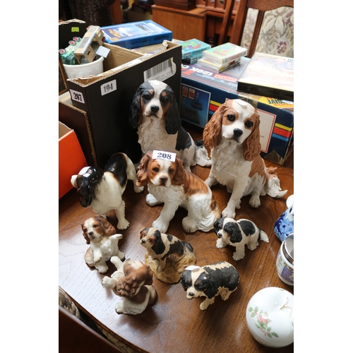 Lot 208       