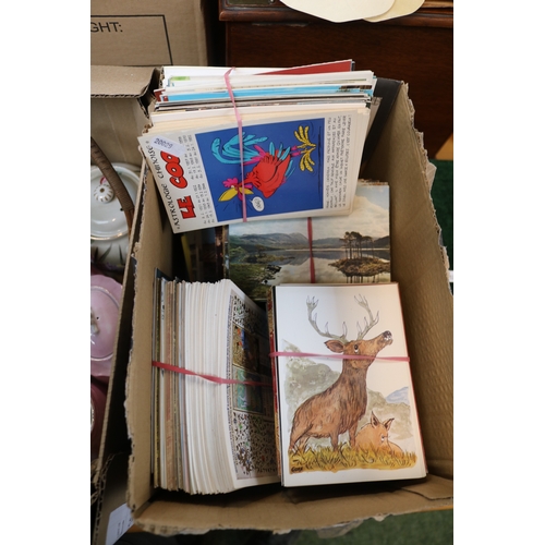 Lot 237       