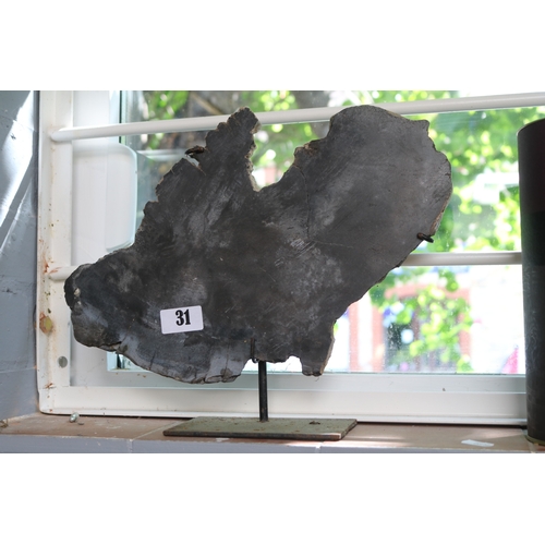 Lot 31        